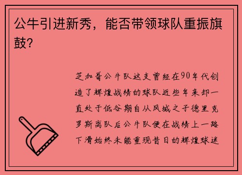 公牛引进新秀，能否带领球队重振旗鼓？